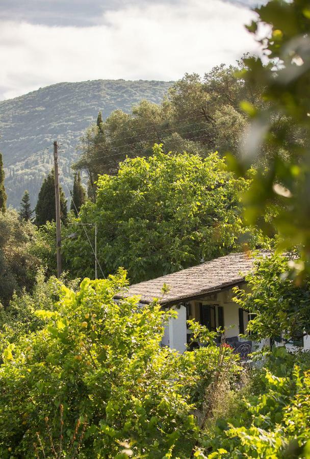 Natural Beauty Spot Áno Garoúna Εξωτερικό φωτογραφία